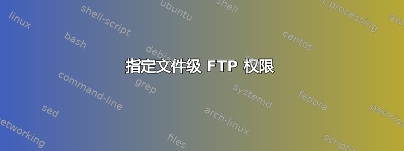 指定文件级 FTP 权限