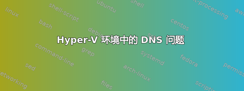 Hyper-V 环境中的 DNS 问题