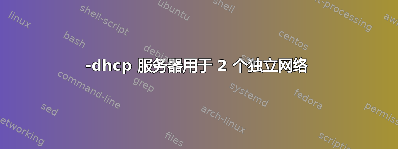 1-dhcp 服务器用于 2 个独立网络