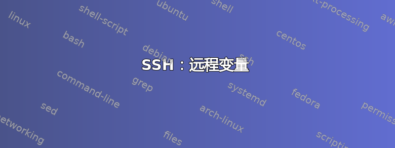 SSH：远程变量