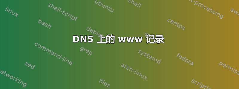 DNS 上的 www 记录