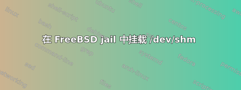 在 FreeBSD jail 中挂载 /dev/shm