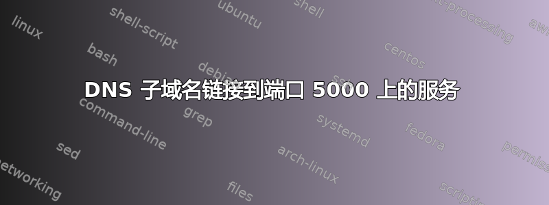 DNS 子域名链接到端口 5000 上的服务