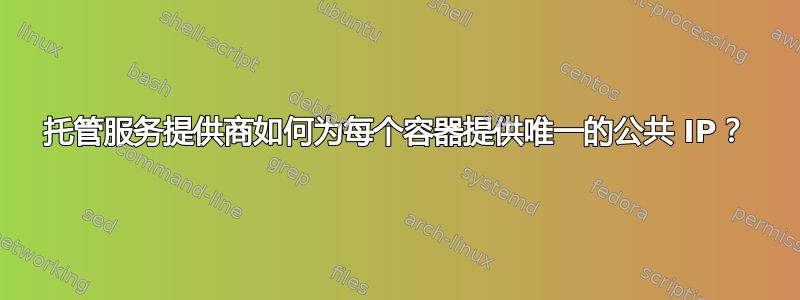 托管服务提供商如何为每个容器提供唯一的公共 IP？