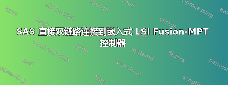 SAS 直接双链路连接到嵌入式 LSI Fusion-MPT 控制器