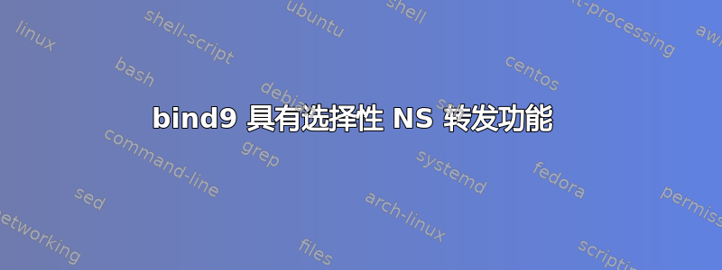 bind9 具有选择性 NS 转发功能 