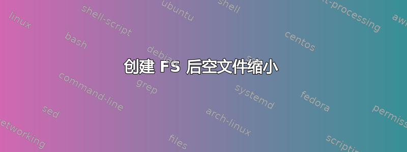 创建 FS 后空文件缩小