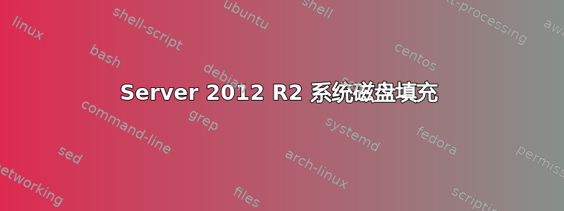 Server 2012 R2 系统磁盘填充