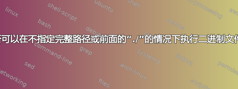 是否可以在不指定完整路径或前面的“./”的情况下执行二进制文件？