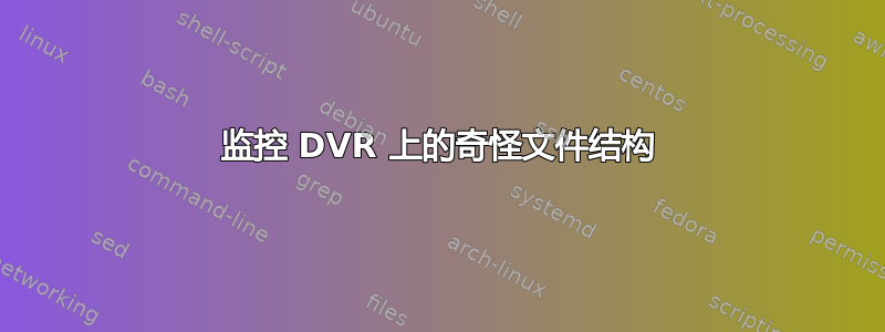 监控 DVR 上的奇怪文件结构