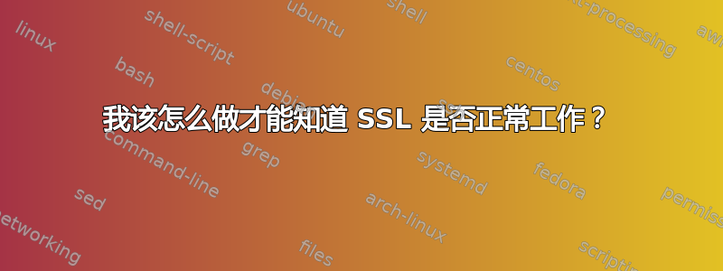 我该怎么做才能知道 SSL 是否正常工作？