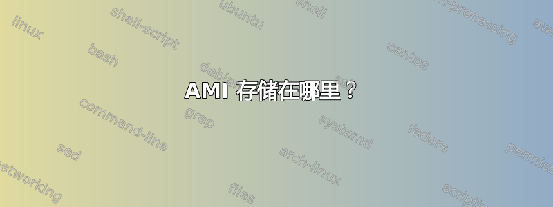 AMI 存储在哪里？