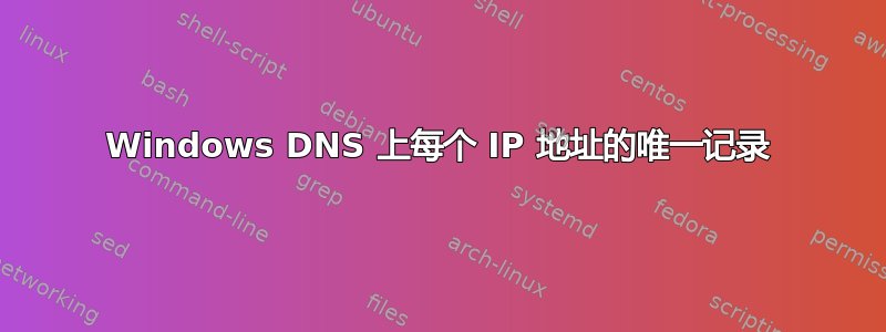 Windows DNS 上每个 IP 地址的唯一记录