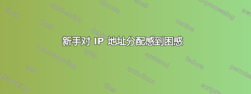 新手对 IP 地址分配感到困惑 