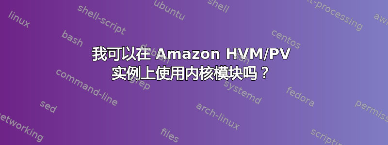 我可以在 Amazon HVM/PV 实例上使用内核模块吗？