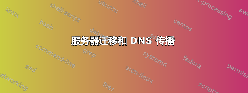 服务器迁移和 DNS 传播