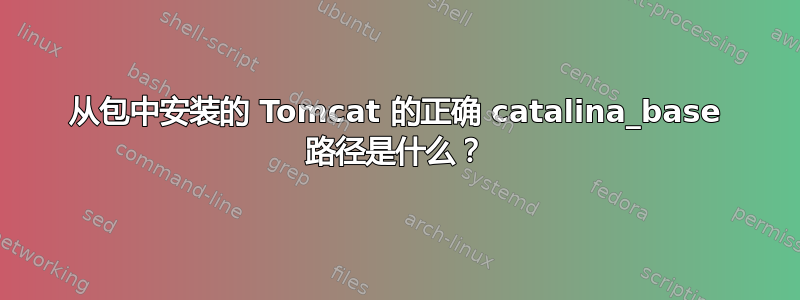 从包中安装的 Tomcat 的正确 catalina_base 路径是什么？