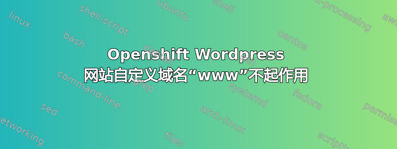 Openshift Wordpress 网站自定义域名“www”不起作用