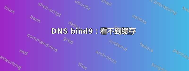 DNS bind9：看不到缓存