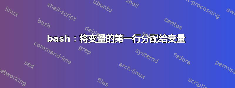 bash：将变量的第一行分配给变量