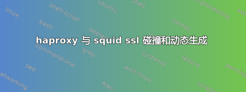 haproxy 与 squid ssl 碰撞和动态生成