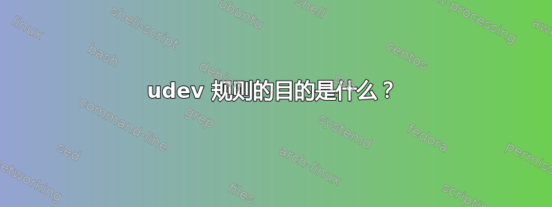 udev 规则的目的是什么？