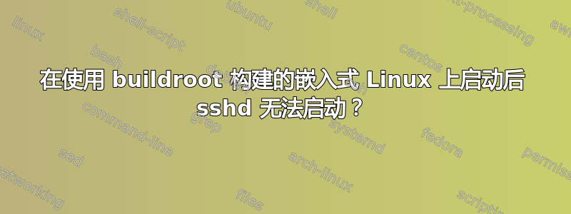 在使用 buildroot 构建的嵌入式 Linux 上启动后 sshd 无法启动？