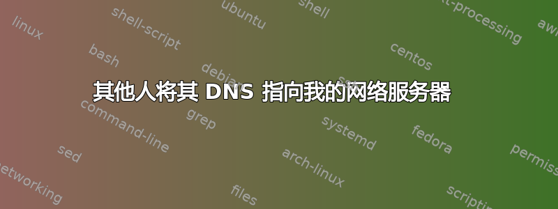 其他人将其 DNS 指向我的网络服务器 