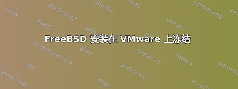 FreeBSD 安装在 VMware 上冻结