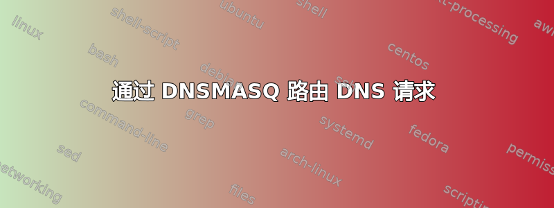 通过 DNSMASQ 路由 DNS 请求