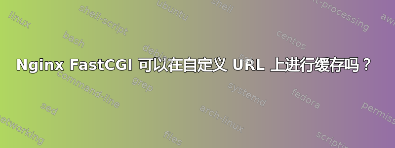 Nginx FastCGI 可以在自定义 URL 上进行缓存吗？