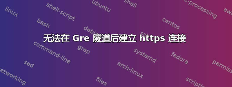 无法在 Gre 隧道后建立 https 连接