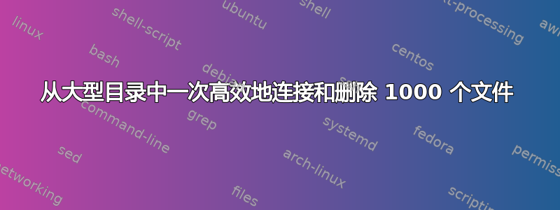 从大型目录中一次高效地连接和删除 1000 个文件