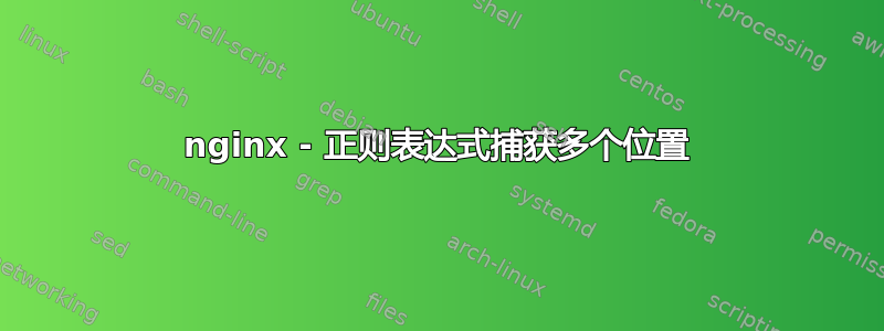 nginx - 正则表达式捕获多个位置