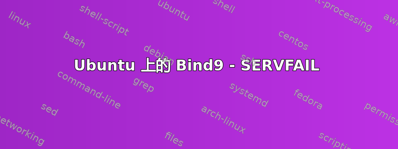 Ubuntu 上的 Bind9 - SERVFAIL