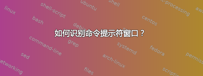 如何识别命令提示符窗口？