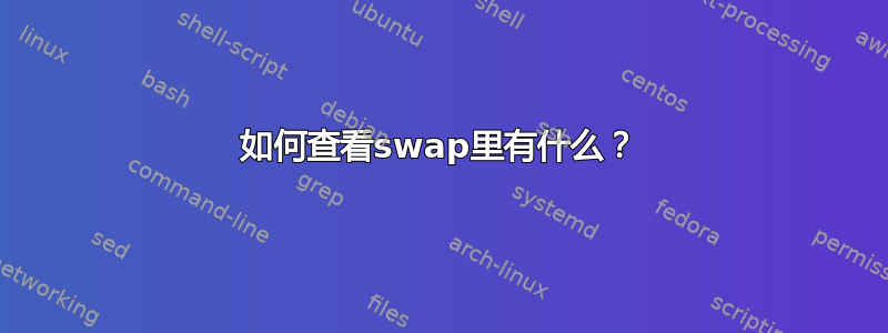 如何查看swap里有什么？