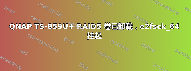 QNAP TS-859U+ RAID5 卷已卸载，e2fsck_64 挂起