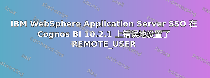 IBM WebSphere Application Server SSO 在 Cognos BI 10.2.1 上错误地设置了 REMOTE_USER