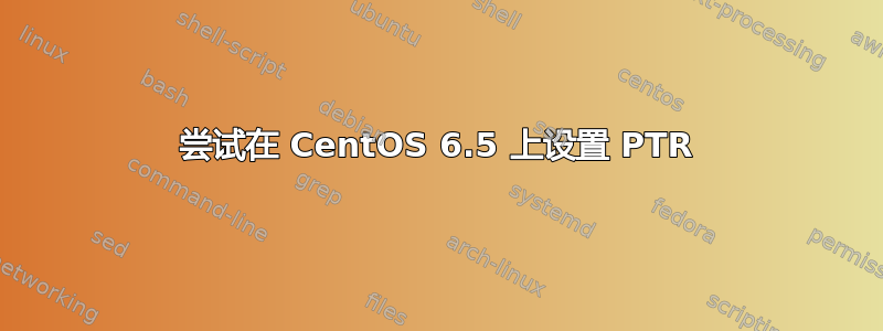 尝试在 CentOS 6.5 上设置 PTR