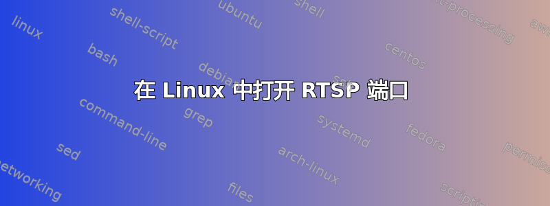 在 Linux 中打开 RTSP 端口