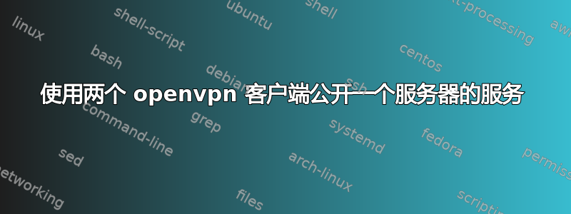 使用两个 openvpn 客户端公开一个服务器的服务