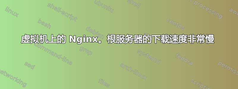 虚拟机上的 Nginx。根服务器的下载速度非常慢