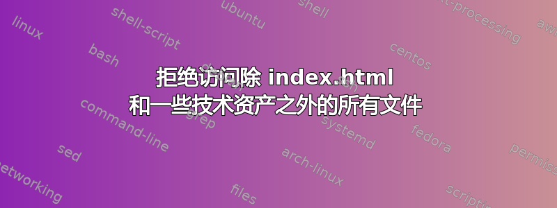 拒绝访问除 index.html 和一些技术资产之外的所有文件