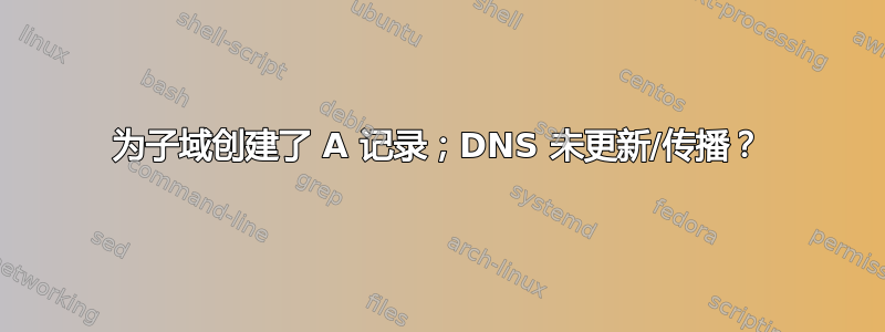 为子域创建了 A 记录；DNS 未更新/传播？