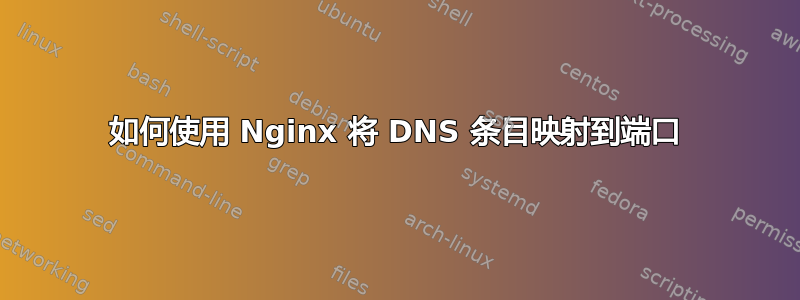 如何使用 Nginx 将 DNS 条目映射到端口