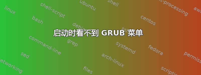 启动时看不到 GRUB 菜单 