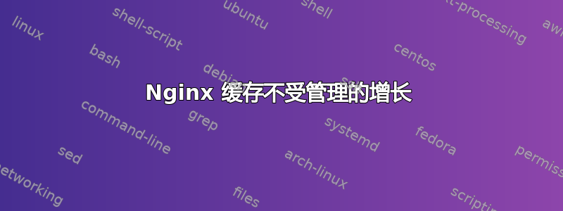 Nginx 缓存不受管理的增长