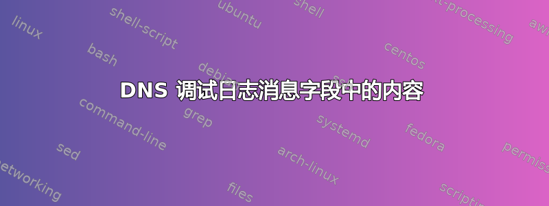 DNS 调试日志消息字段中的内容