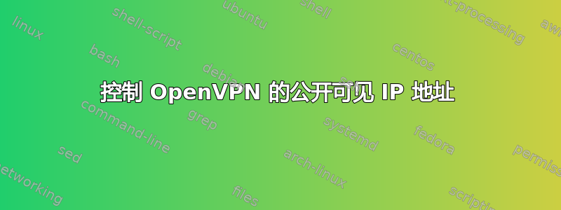 控制 OpenVPN 的公开可见 IP 地址